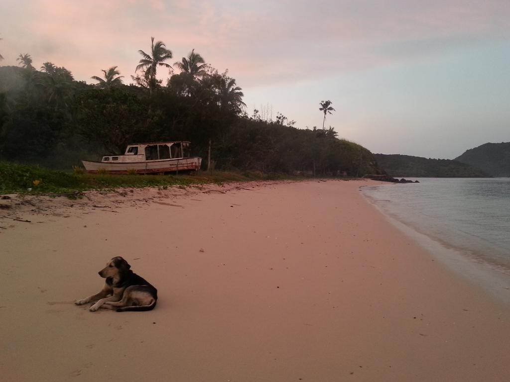 Yasawa Homestays Naisisili Exterior foto
